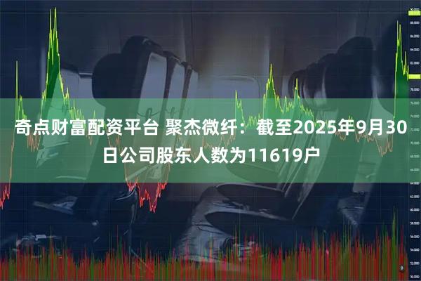 奇点财富配资平台 聚杰微纤：截至2025年9月30日公司股东人数为11619户