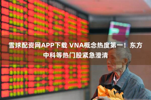 雪球配资网APP下载 VNA概念热度第一！东方中科等热门股紧急澄清